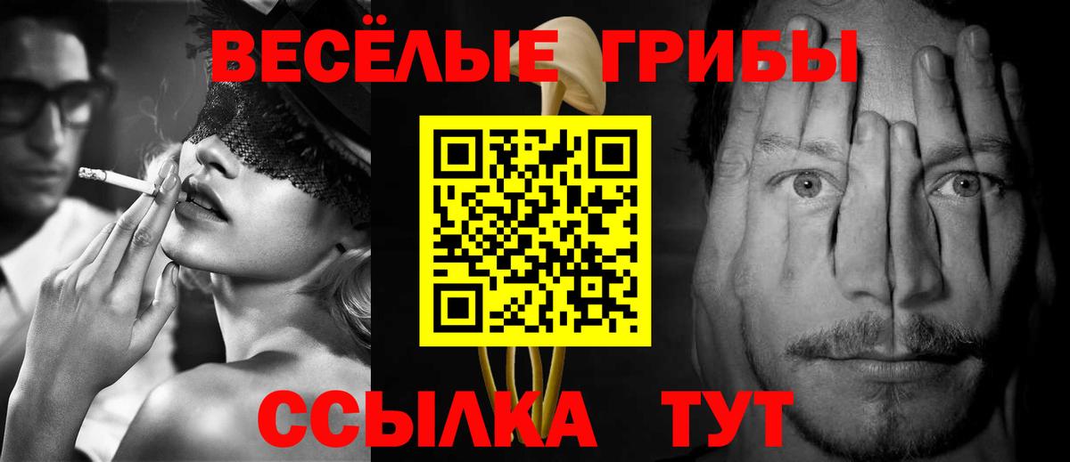 Галлюциногенные грибы ЛСД  Вход с VPN  Галлюциногенные грибы GOLDEN TEACHER  Избербаш 